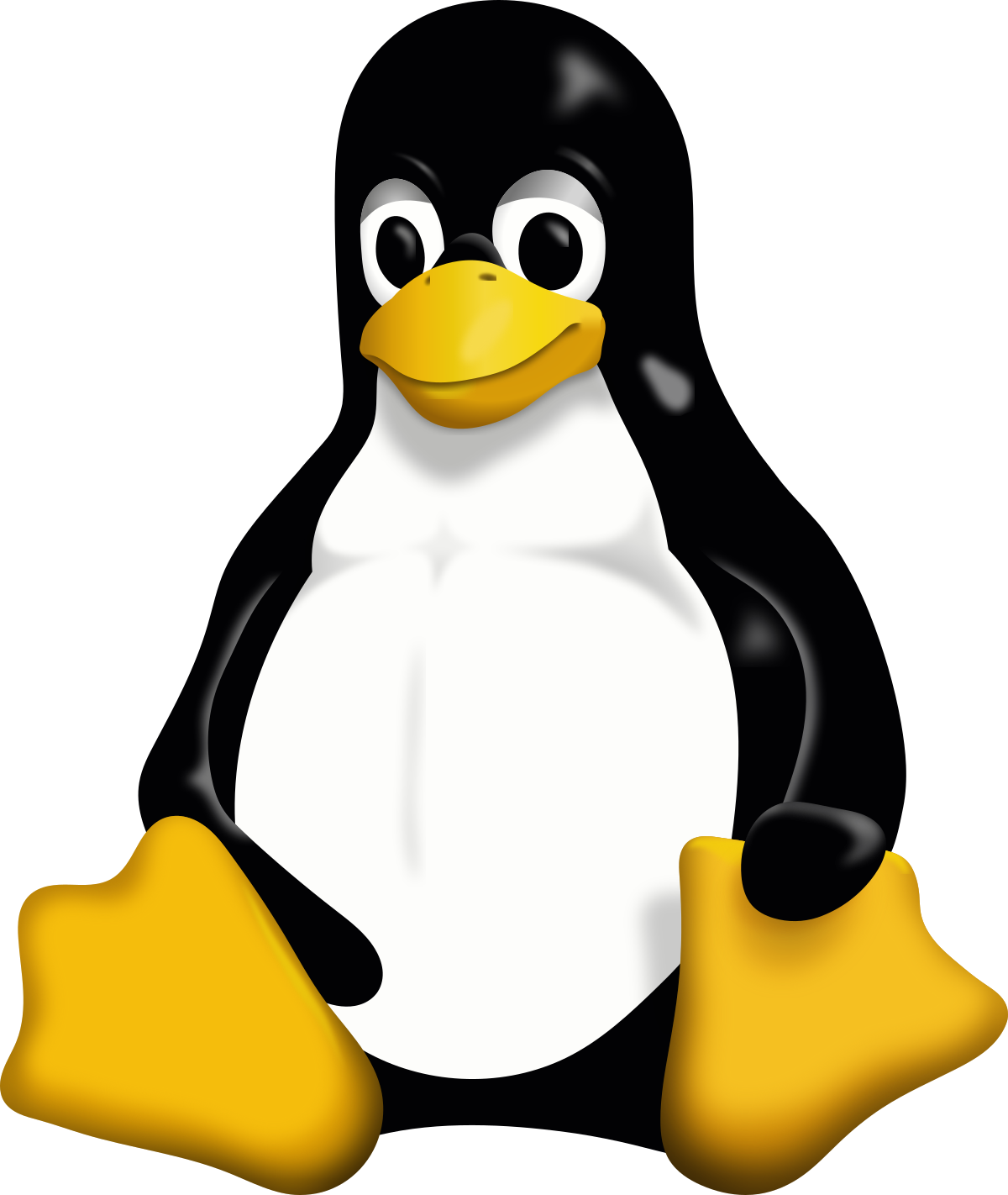 /github/gpt4all/raw/branch/polymorphic-chatitem/gpt4all-bindings/python/docs/assets/linux.png
